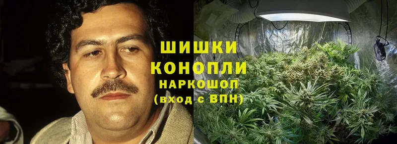 Конопля Bruce Banner  Артёмовский 